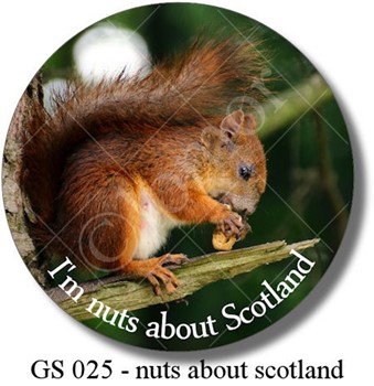 GS 025 - nuts about scotland