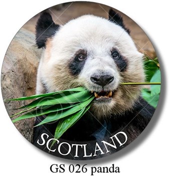 GS 026 panda Scotland