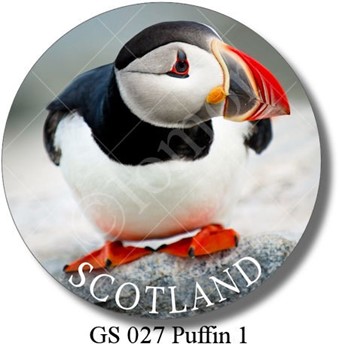 GS 027 Puffin 1 Scotland