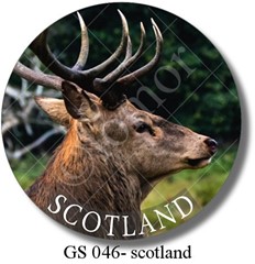 GS 046 - scotland deer 2